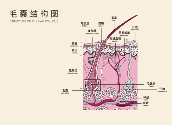 植发后遗症.jpg